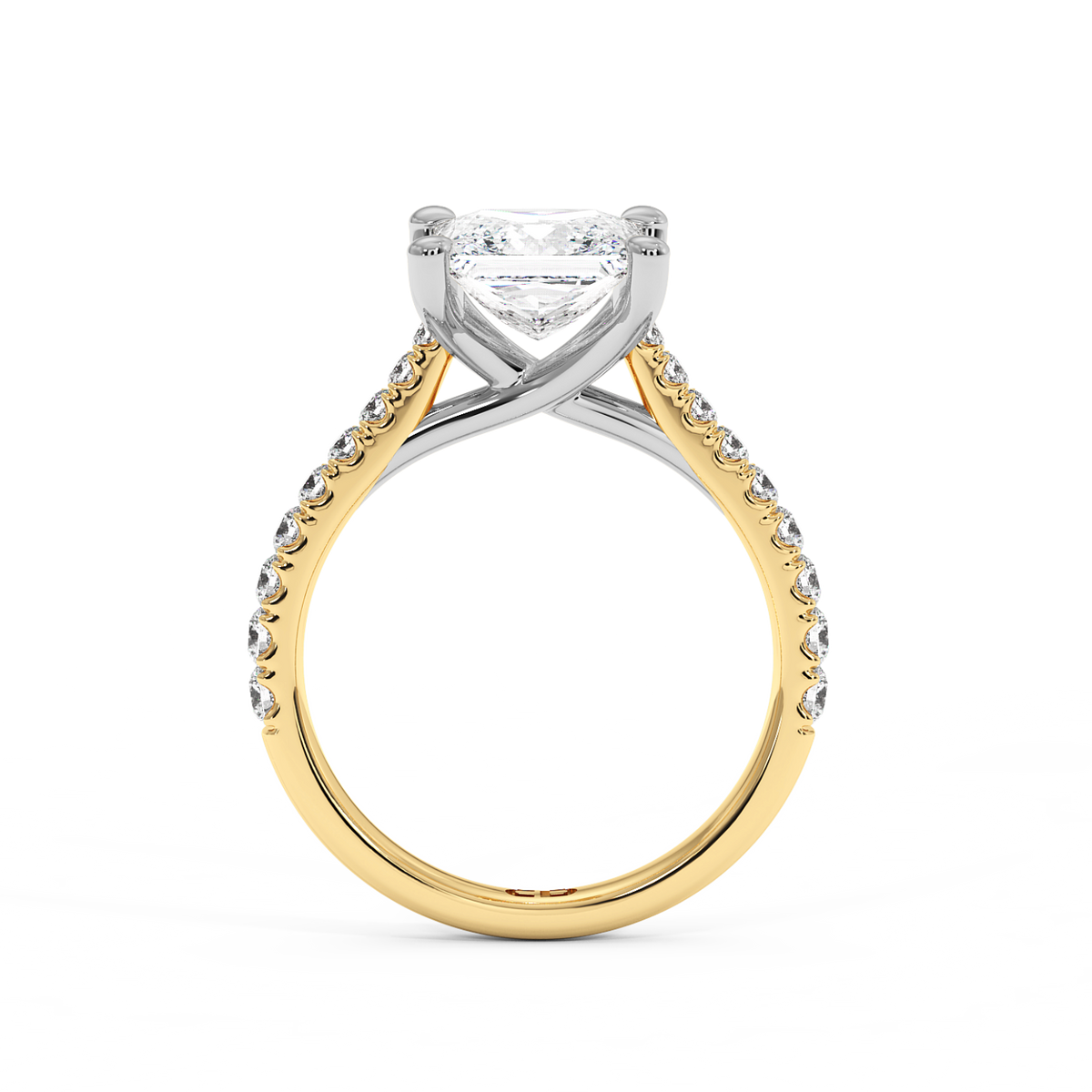 The Richmond Princess Lab-Grown Gold & Platinum Ring
